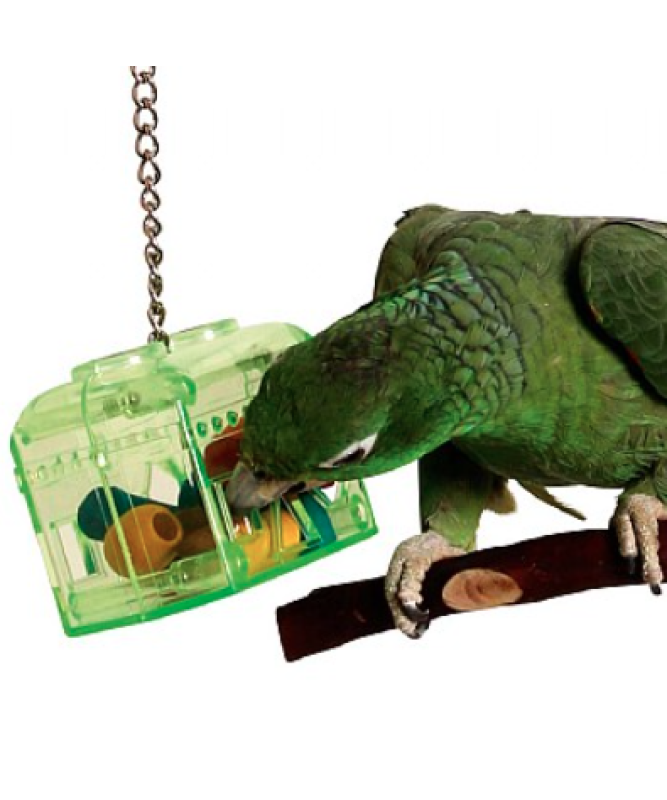 Treasure Hunt Parrot Foraging Toy